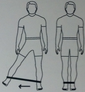 tbandhip10